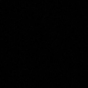 Meet your Posher, Shanese